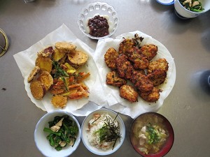 �F�J�s���ی𗬋���@���{�̉ƒ뗿��