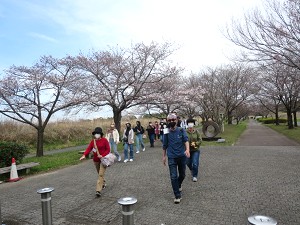 �F�J�s���ی𗬋���@�����тƃv�`���эs�c