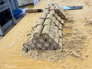 �F�J�s���ی𗬋���@�p��ŋ��y�̗��j�E������`���Ă݂悤�I�`�܉ƕ�ҁ`