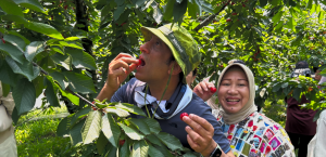 �F�J�s���ی𗬋���@���ی𗬃o�X�n�C�N